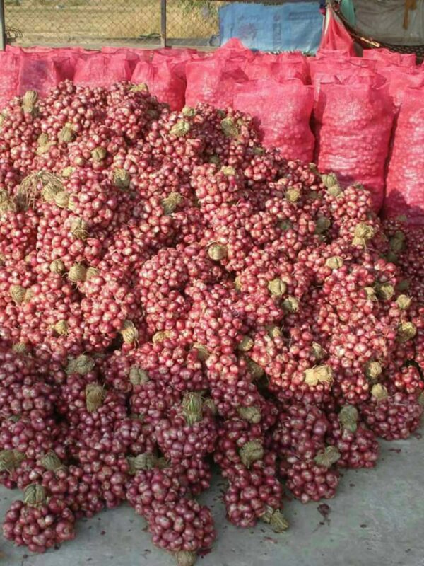 หอมแดง หอมมัด Dried Shallot Bundle Shallot