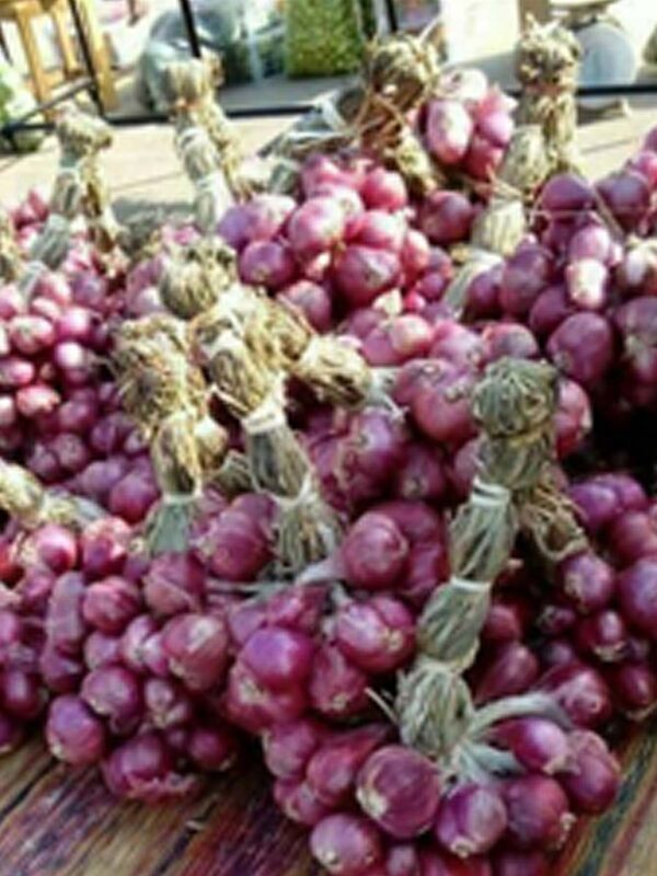 หอมแดง หอมมัด Dried Shallot Bundle Shallot